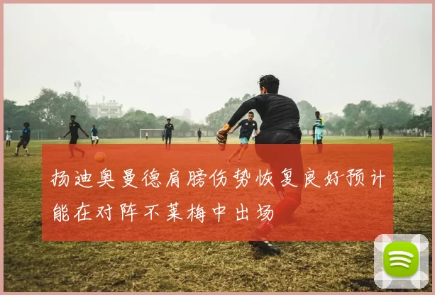 扬迪奥曼德肩膀伤势恢复良好预计能在对阵不莱梅中出场