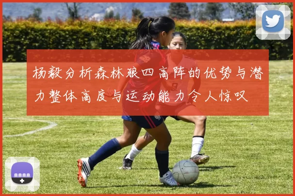 杨毅分析森林狼四高阵的优势与潜力整体高度与运动能力令人惊叹